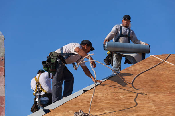 Best Roof Waterproofing Services  in Captain Cook, HI