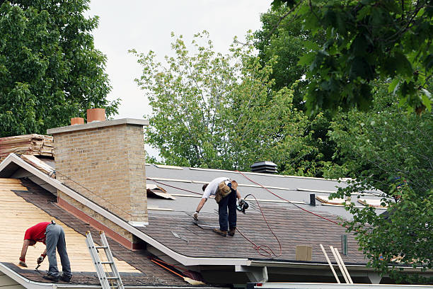 Best Local Roofing Companies  in Captain Cook, HI